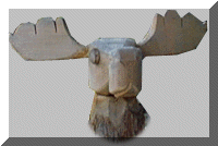 The Moose is often found in the Johnson household either on the Front Porch or on the Bathroom Ceiling!
